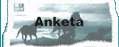 Anketa