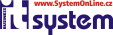 IT System